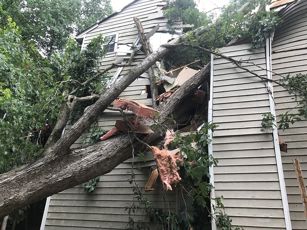 apartment damaged by tree